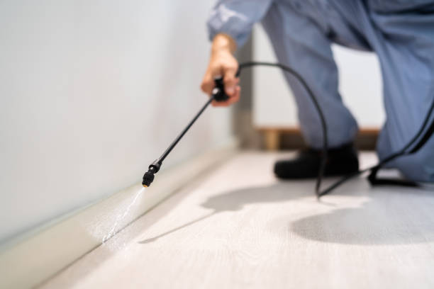 Licensed Termite Control service in Sylacauga, AL - Nex Pest Control