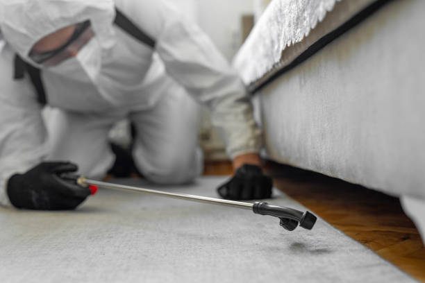 Professional Termite Control technician working in Sylacauga, AL