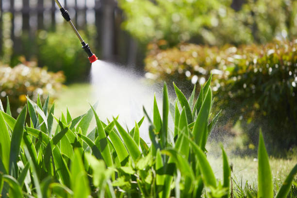 24/7 Emergency Termite Control experts in Sylacauga, AL