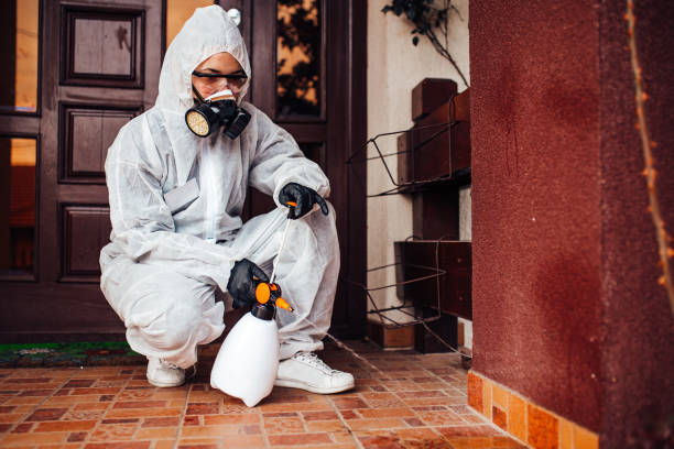 Reliable Termite Control contractor in Sylacauga, AL by Nex Pest Control