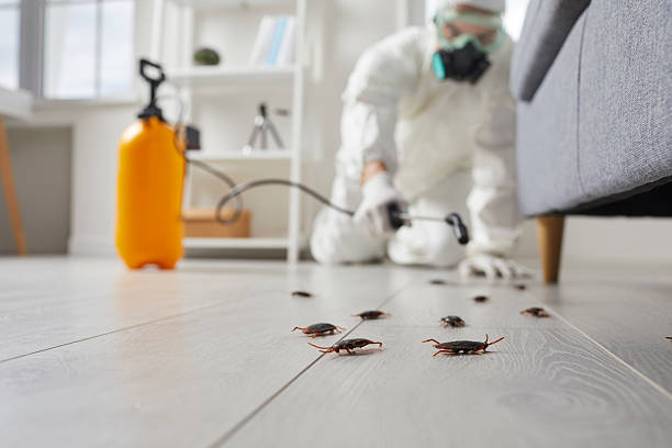 Trusted Termite Control service in Sylacauga, AL - Nex Pest Control