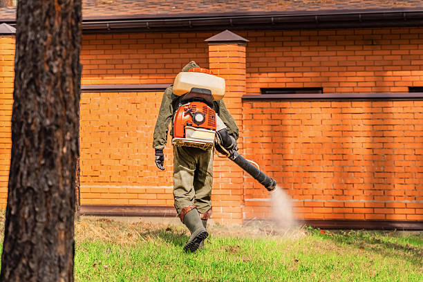 Trusted Cockroach Control service in Sylacauga, AL - Nex Pest Control